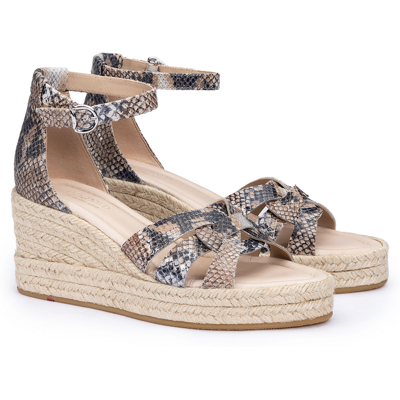 LLOYD Damen DAMEN SHELL KOMBINIERT Sandalen Kombiniert in 38 F 1/2 Glattleder Festlich Freizeit LLOYD Damen DAMEN SHELL KOMBINIERT Sandalen Kombiniert in 38 F 1/2 Glattleder Festlich Freizeit