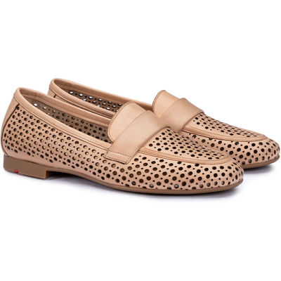 LLOYD Damen DAMEN CHARM 240 BRAUN Slippers Braun in 36.5 F 1/2 Rauleder Gelochtes Leder Festlich Freizeit LLOYD Damen DAMEN CHARM 240 BRAUN Slippers Braun in 36.5 F 1/2 Rauleder Gelochtes Leder Festlich Freizeit