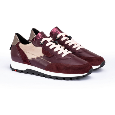LLOYD Damen DAMEN MILO ROT Low Top Sneaker Sneakers Rot in 38 F 1/2 Effekt Leder Glattleder Rauleder Freizeit Business LLOYD Damen DAMEN MILO ROT Low Top Sneaker Sneakers Rot in 38 F 1/2 Effekt Leder Glattleder Rauleder Freizeit Business