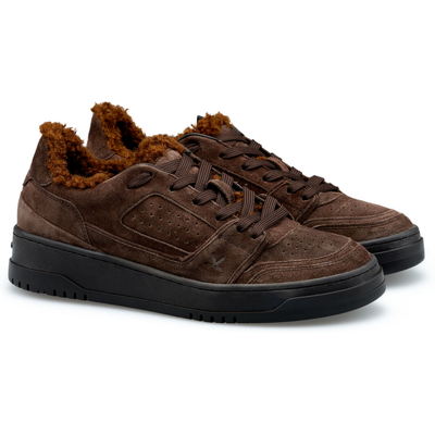 LLOYD Damen DAMEN EVER LOW L BRAUN Sneakers Low Top Sneaker Braun in 36 F 1/2 Textil Rauleder Freizeit LLOYD Damen DAMEN EVER LOW L BRAUN Sneakers Low Top Sneaker Braun in 36 F 1/2 Textil Rauleder Freizeit