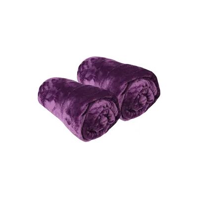 Bestlivings Kuscheldecke "Celina" 2er Pack Violett 60x80cm Bestlivings Kuscheldecke "Celina" 2er Pack Violett 60x80cm
