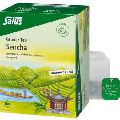 SALUS Pharma GmbH GRÜNER TEE Bio Salus Filterbeutel Großpackung 40 St. (72 g) SALUS Pharma GmbH GRÜNER TEE Bio Salus Filterbeutel Großpackung 40 St. (72 g)