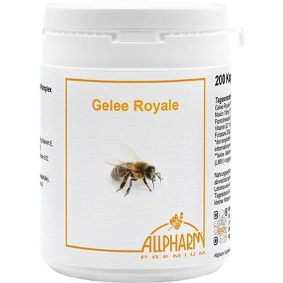 Allpharm Vertriebs GmbH GELEE ROYALE Kapseln 200 St. (82 g) Allpharm Vertriebs GmbH GELEE ROYALE Kapseln 200 St. (82 g)