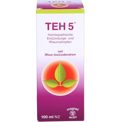 Infirmarius GmbH TEH 5 Tropfen 100 ml Infirmarius GmbH TEH 5 Tropfen 100 ml