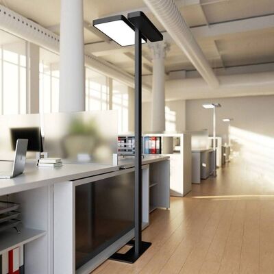 Arcchio LED-Bürostehlampe Aila, schwarz, Tageslichtsensor Aila Arcchio, dimmbar, schwarz, für Arbeitszimmer / Büro, Aluminium, Modern Arcchio LED-Bürostehlampe Aila, schwarz, Tageslichtsensor Aila Arcchio, dimmbar, schwarz, für Arbeitszimmer / Büro, Aluminium, Modern