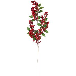 Traubenholunderbeeren-Zweig, 68 cm