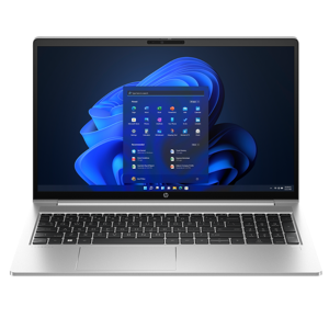 HP ProBook 455 G10 Notebook-PC (816J4EA)