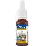 BACHBLÜTEN Tiere Tropfen Angst 20 ml