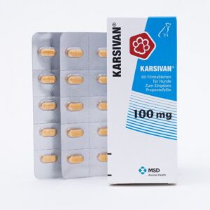 KARSIVAN 100 Filmtabletten f.Hunde 60 St