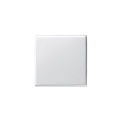 Gira Wippe 029603 Wechselschalter.Reinweiß glänzend 29603 Gira Wippe 029603 Wechselschalter.Reinweiß glänzend 29603