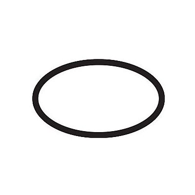 Hansgrohe Modell 98173000 O-Ring - 22mm Durchmesser Hansgrohe Modell 98173000 O-Ring - 22mm Durchmesser