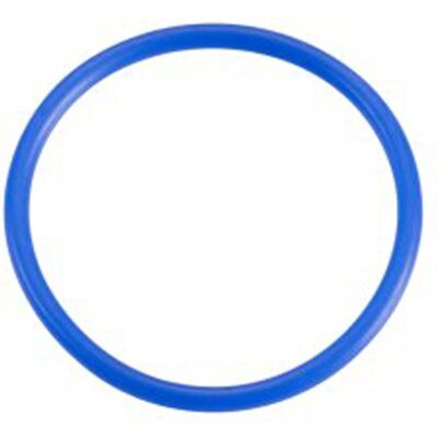 Neoperl Blauer 20x1.5mm Dichtring - Sealing Ring Neoperl Blauer 20x1.5mm Dichtring - Sealing Ring