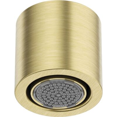 Deante Kopfbrause 600 Serie 1 Strahlart, Oberfläche: gold gebürstet - Shower Head Deante Kopfbrause 600 Serie 1 Strahlart, Oberfläche: gold gebürstet - Shower Head