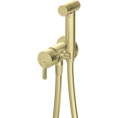 Deante Unterputz Bidetarmatur - Gold gebürstet - Bidet Typ Deante Unterputz Bidetarmatur - Gold gebürstet - Bidet Typ
