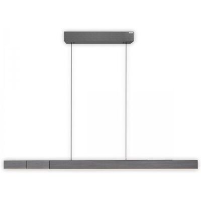 Paul Neuhaus 2545-15 PURE MOTO-RISE LED Pendelleuchte platin (grau) höhenverstellbar ausziehbar Paul Neuhaus 2545-15 PURE MOTO-RISE LED Pendelleuchte platin (grau) höhenverstellbar ausziehbar