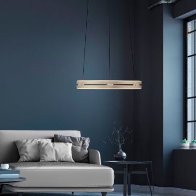 Neuhaus PURE Hängeleuchte E-Loop - Pendelleuchte Neuhaus PURE Hängeleuchte E-Loop - Pendelleuchte