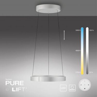 Paul Neuhaus 2560-95 Neuhaus PURE E-Clipse LED Pendelleuchte stone (alu) elektrisch Paul Neuhaus 2560-95 Neuhaus PURE E-Clipse LED Pendelleuchte stone (alu) elektrisch