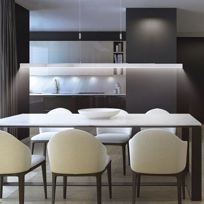 Paul Neuhaus Verstellbare LED Pendelleuchte Adriana - Modernes Design Paul Neuhaus Verstellbare LED Pendelleuchte Adriana - Modernes Design