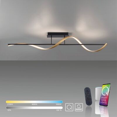 Paul Neuhaus Q-SWING LED Deckenleuchte - Smart Home kompatibel Paul Neuhaus Q-SWING LED Deckenleuchte - Smart Home kompatibel