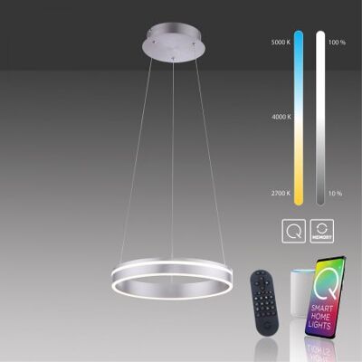 Paul Neuhaus Stahl Smart Pendelleuchte - 40cm, Dimmbar, ZigBee Paul Neuhaus Stahl Smart Pendelleuchte - 40cm, Dimmbar, ZigBee