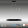 Paul Neuhaus 2392-13 Titus oval LED Pendelleuchte 80cm anthrazit Simply Dim