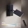 Paul Neuhaus 9353-18 PURE-MIRA LED Wandleuchte schwarz CCT