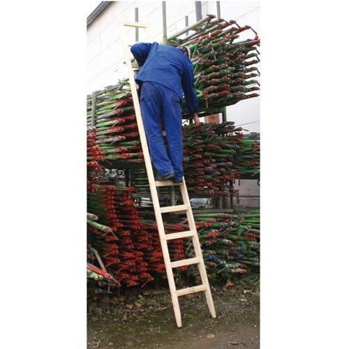 C. O. Weise GmbH & Co. KG Weise Anlegeleiter Fichte