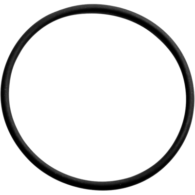 Wolf Dichtung CGB-2-38/55 O-Ring 74x4mm Wolf Dichtung CGB-2-38/55 O-Ring 74x4mm