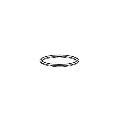 Grünbeck S 1" 1 1/2" O-Ring - O-Ring Grünbeck S 1" 1 1/2" O-Ring - O-Ring
