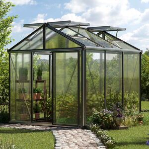 GFP 235 x 235 cm Gewächshaus, Standardfarbe Aluminium Natur Aktionsset - Profi 2 - (GFPV00149) GFP 235 x 235 cm Gewächshaus, Standardfarbe Aluminium Natur Aktionsset - Profi 2 - (GFPV00149)