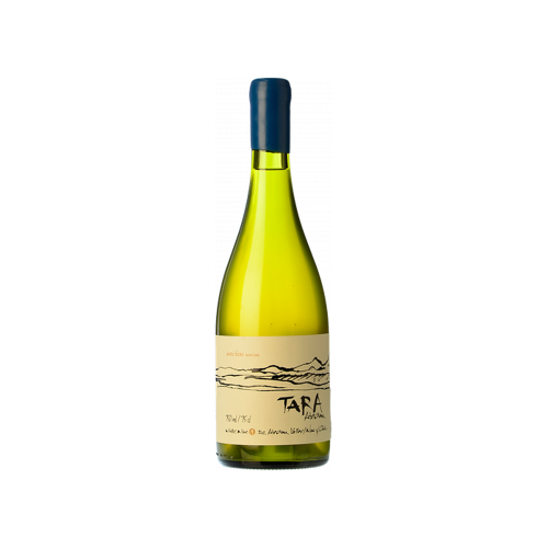 Viña Ventisquero Tara White Wine N°1 - Chardonnay 2022 - Tara