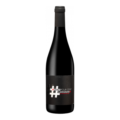 Terres Plurielles - # Sans Sulfites Ajoutes 2024 - Côtes Catalanes - Rotwein - 0.75L Terres Plurielles - # Sans Sulfites Ajoutes 2024 - Côtes Catalanes - Rotwein - 0.75L