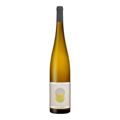 Vins Schaal (Sophie & Julien) - Riesling - Sophie Schaal 2024 - Elsass Riesling - Weisswein - 1.5L Vins Schaal (Sophie & Julien) - Riesling - Sophie Schaal 2024 - Elsass Riesling - Weisswein - 1.5L