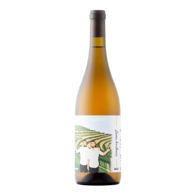 Zavec Brothers - Furmint 2024 - - Orangewein - 0.75L Zavec Brothers - Furmint 2024 - - Orangewein - 0.75L