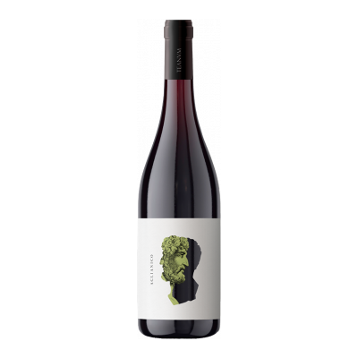 Teanum - Otre Aglianico 2022 - Puglia - Rotwein - 0.75L Teanum - Otre Aglianico 2022 - Puglia - Rotwein - 0.75L