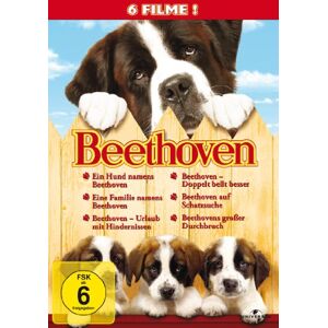 GEBRAUCHT Beethoven 1-6 [6 DVDs] - Preis vom 09.05.2024 04:53:29 h