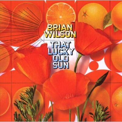 Brian Wilson - GEBRAUCHT That Lucky Old Sun - Preis vom 26.07.2026 23:31:04 h Brian Wilson - GEBRAUCHT That Lucky Old Sun - Preis vom 26.07.2026 23:31:04 h