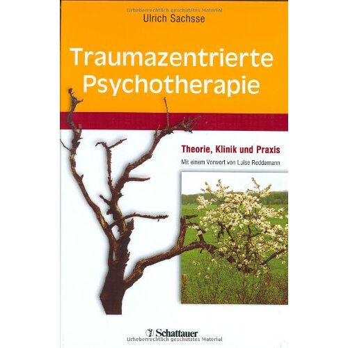 Ulrich Sachsse - Traumazentrierte Psychotherapie: Theorie, Klinik und Praxis - Preis vom 07.01.2022 05:55:57 h