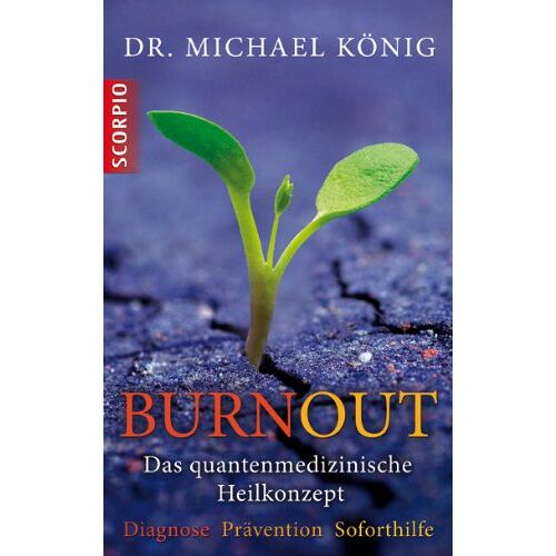 Michael König – GEBRAUCHT Burnout: Das quantenmedizinische Heilkonzept – Preis vom 08.01.2024 05:55:10 h