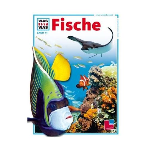Torsten Fischer – GEBRAUCHT Was ist was, Band 041: Fische – Preis vom 08.01.2024 05:55:10 h