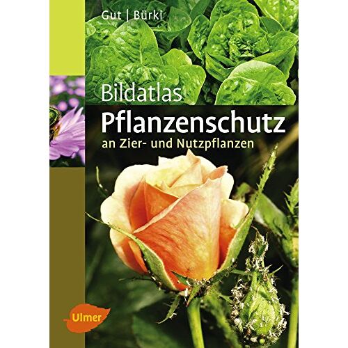 Philipp Gut - Bildatlas Pflanzenschutz an Zier- und Nutzpflanzen - Preis vom 06.01.2022 05:57:07 h