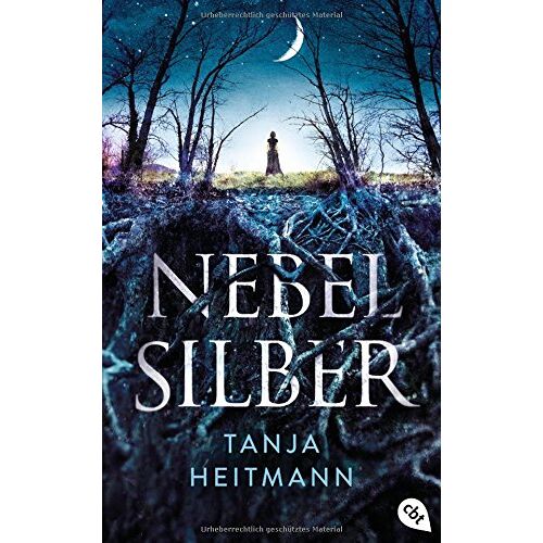 Tanja Heitmann - GEBRAUCHT Nebelsilber - Preis vom 23.03.2026 06:32:21 h