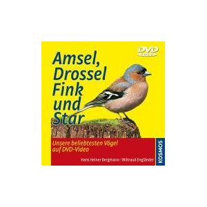 - GEBRAUCHT Amsel, Drossel, Fink und Star (im Buchhandel) - Preis vom 06.09.2023 05:03:33 h