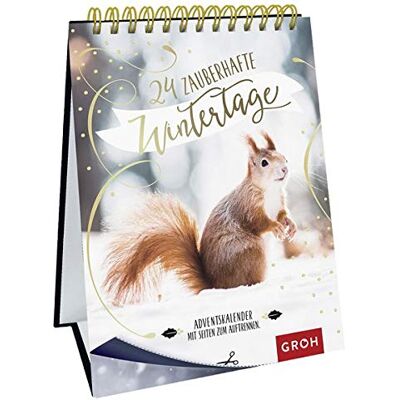 Groh Redaktionsteam - GEBRAUCHT 24 zauberhafte Wintertage - Preis vom 14.07.2026 19:41:18 h Groh Redaktionsteam - GEBRAUCHT 24 zauberhafte Wintertage - Preis vom 14.07.2026 19:41:18 h