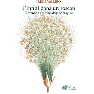 Irene Vallejo - GEBRAUCHT L'infini dans un roseau : l'invention des livres dans l'Antiquité - Preis vom 06.08.2026 23:27:29 h Irene Vallejo - GEBRAUCHT L'infini dans un roseau : l'invention des livres dans l'Antiquité - Preis vom 06.08.2026 23:27:29 h