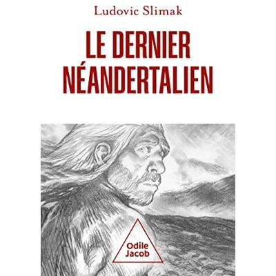 Ludovic Slimak - GEBRAUCHT Le dernier Néandertalien : comprendre comment meurent les hommes - Preis vom 19.07.2026 19:37:31 h Ludovic Slimak - GEBRAUCHT Le dernier Néandertalien : comprendre comment meurent les hommes - Preis vom 19.07.2026 19:37:31 h