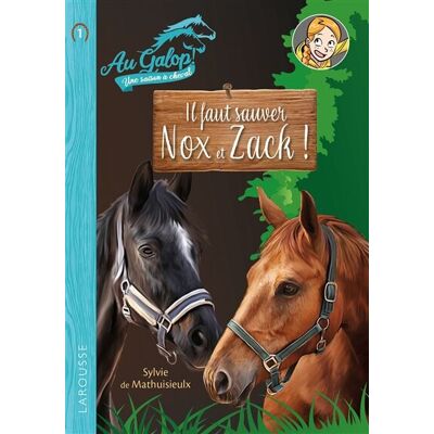 Mathuisieulx, Sylvie de - GEBRAUCHT Au galop ! Une saison à cheval. Vol. 1. Il faut sauver Nox et Zack ! - Preis vom 23.07.2026 03:12:14 h Mathuisieulx, Sylvie de - GEBRAUCHT Au galop ! Une saison à cheval. Vol. 1. Il faut sauver Nox et Zack ! - Preis vom 23.07.2026 03:12:14 h