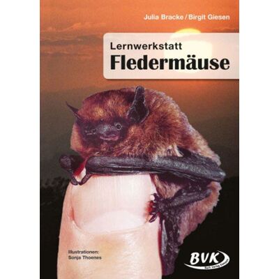 Julia Bracke - GEBRAUCHT Lernwerkstatt Fledermäuse 3.-4. Klasse: A4-Kopiervorlagen. 3.-4. Klasse - Preis vom 02.08.2026 23:34:20 h Julia Bracke - GEBRAUCHT Lernwerkstatt Fledermäuse 3.-4. Klasse: A4-Kopiervorlagen. 3.-4. Klasse - Preis vom 02.08.2026 23:34:20 h