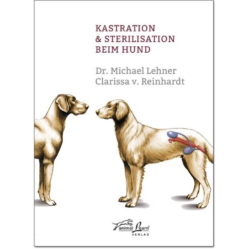 【ᐅᐅ】 Kastration Hund Kosten Kaufen 2020 Alle Top Modelle am Markt im