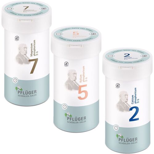 Pflüger Biochemie Energie Plus – Kombi 3x400 St Tabletten
